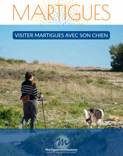 Visiter Martigues avec son chien