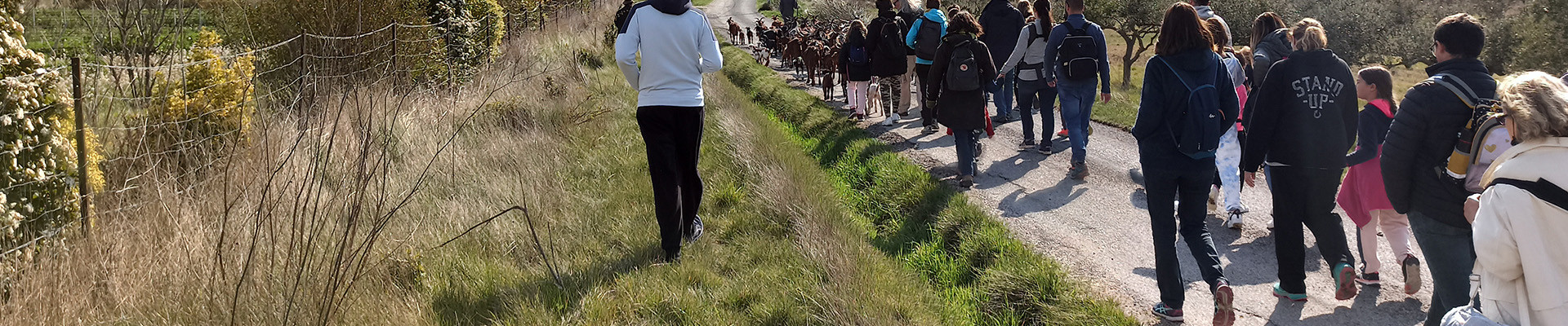 Actividades que ofrece la Oficina de Turismo