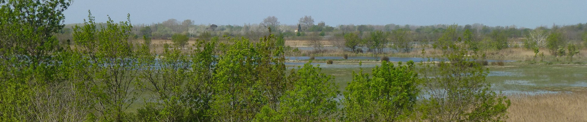 Camargue