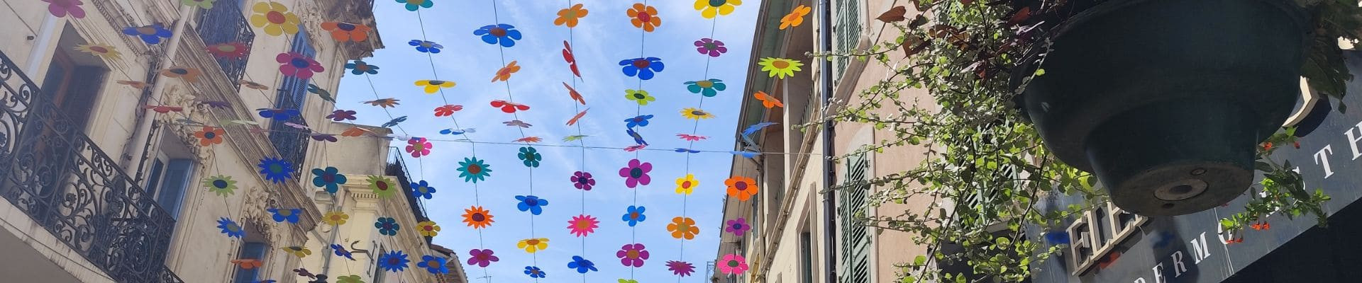 Informations et actualités pour les professionnels du territoire de Martigues