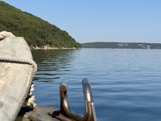 Balade en bateau sur l'étang de Berre sur le thème de l'écologie et la biodiversité