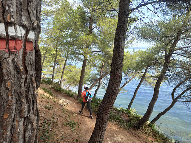 Camino entre mar y estanques Martigues