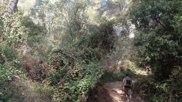 ¿Curioso por naturaleza?