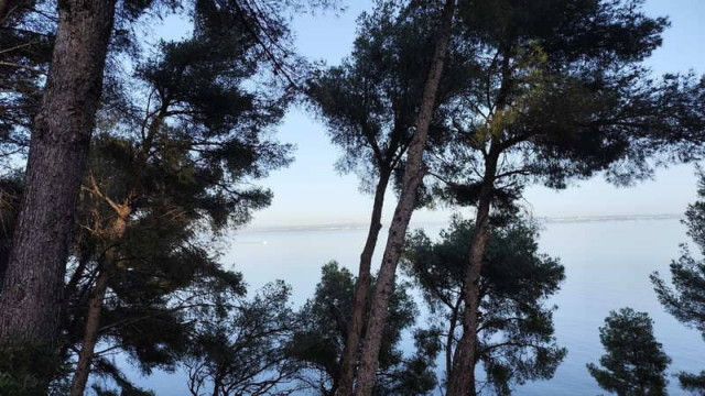 Éco-balade guidée le long de l’Étang de Berre depuis Martigues