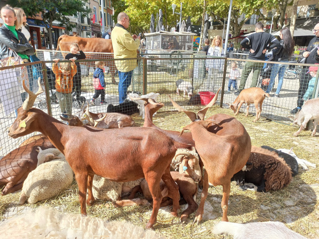 Martigues fête son terroir