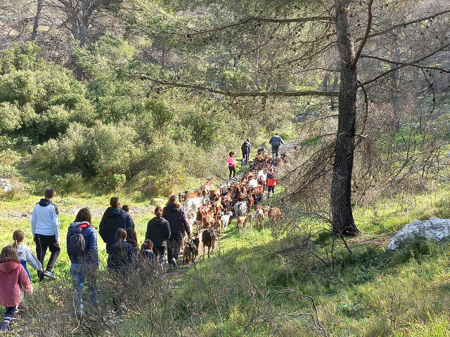 Participez à des visites et ateliers à la rencontre de nos producteurs