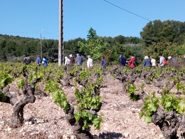Rando dans les sentiers vignerons de Martigues