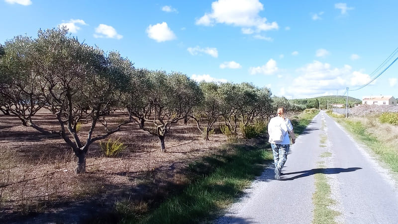 Pasear por los senderos