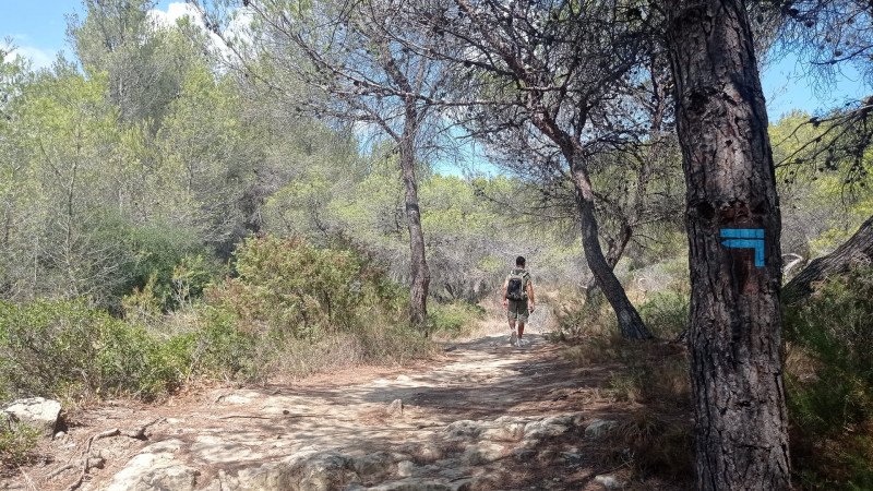The hiking trails