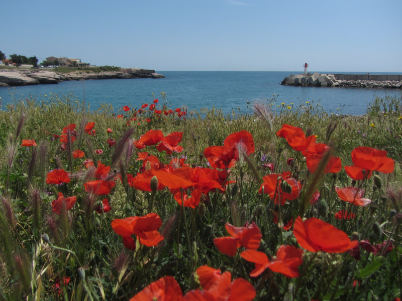 Les plages