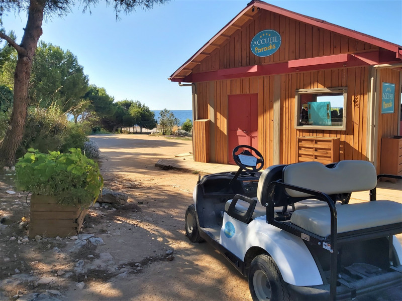 Nuestras ideas para visitas en agosto