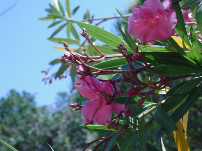 Jardines y parques