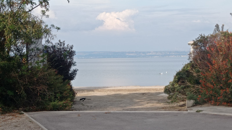 Playas supervisadas