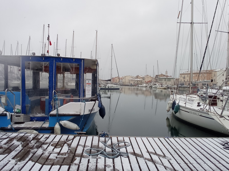 Faire des activités selon la météo