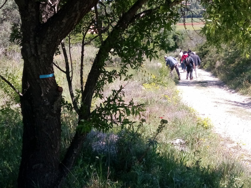 Visites pleine nature