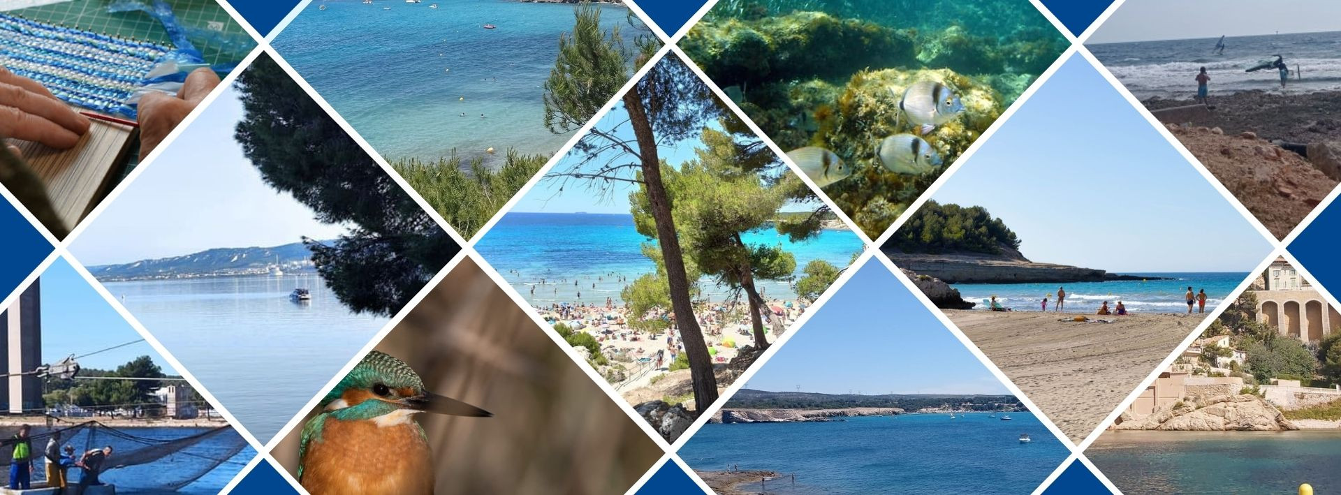 Autour de la biodiversité à Martigues