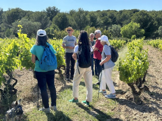 Les participants de la visite de la cave vinicole de Saint-Julien-les-Martigues sont prêts à partir sur les sentiers vignerons. Sac à dos et baskets sont de rigueur pour découvrir les cépages et les vignobles de la cave