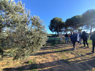 Participants qui marchent dans les champs d'oliviers pour découvrir le métier d'oléicultrice à Martigues - © Otmartigues / MyriamF Visite du domaine et des champs d'olivier lors de la journée de rencontre avec une fabricante d'huile d'olive à Martigues