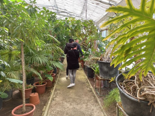 Une allée avec de grandes plantes méditerranéenne de part et d'autres sous une serre tropicale. Des visiteurs s'engagent dans une jungle pour découvrir les trésors de la serre municipale de Martigues
