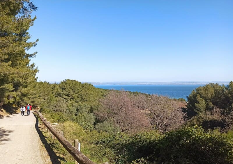 Accès réglementé aux massifs à Martigues et sur la Côte Bleue