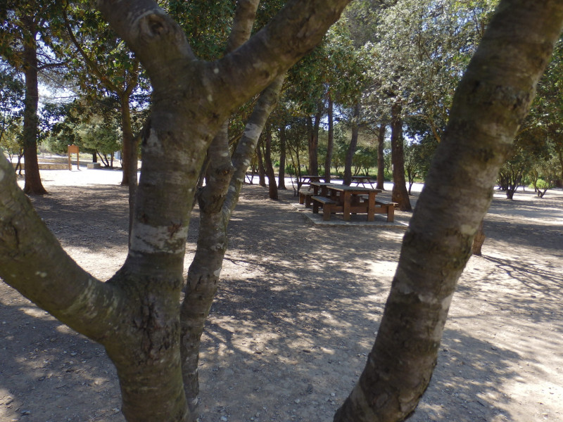 Aire de pique-nique au Grand Parc de Figuerolles