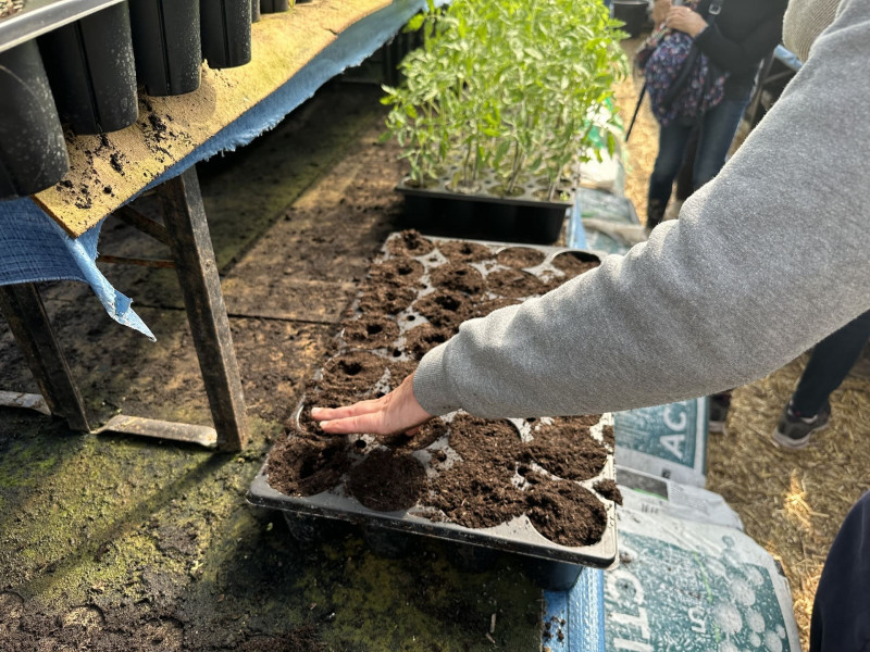 Atelier plantation avec des mains qui tassent la terre pour planter des semis lors de l'atelier participatif et ouvert aux familles - © Otmartigues / BérangèreB Atelier plantation à la ferme Aïoli Caganis dans la serre avec semis et terre pour participer à la création d'un écosystème. Atelier ludique pour les familles proposé par l'Office de Tourisme de Martigues