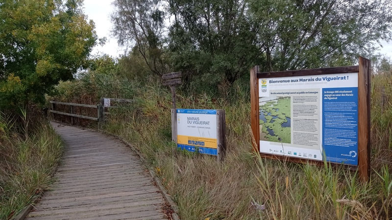Visite commentée au coeur de la réserve naturelle du Marais du Viguierat à quelques kilomètres de Martigues. Un atelier pour les enfants autour de la nature et de la biodiversité