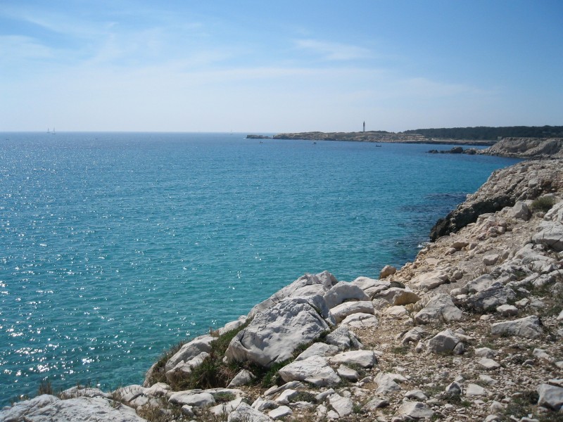 The sea