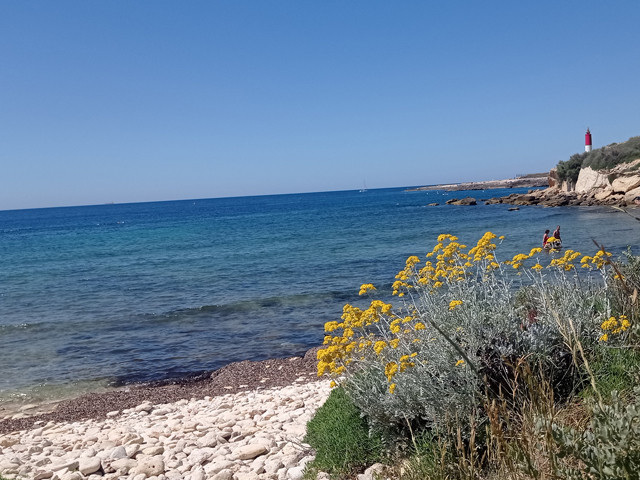 Le Grand sentier de la Côte Bleue