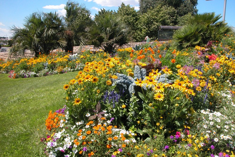 Flowers