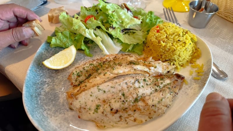 Assiette creuse semi ovale aux couleurs bleutés et blanche. Un poisson en persillade et un risotto de riz jaune avec de la salade est disposé dans l'assiette