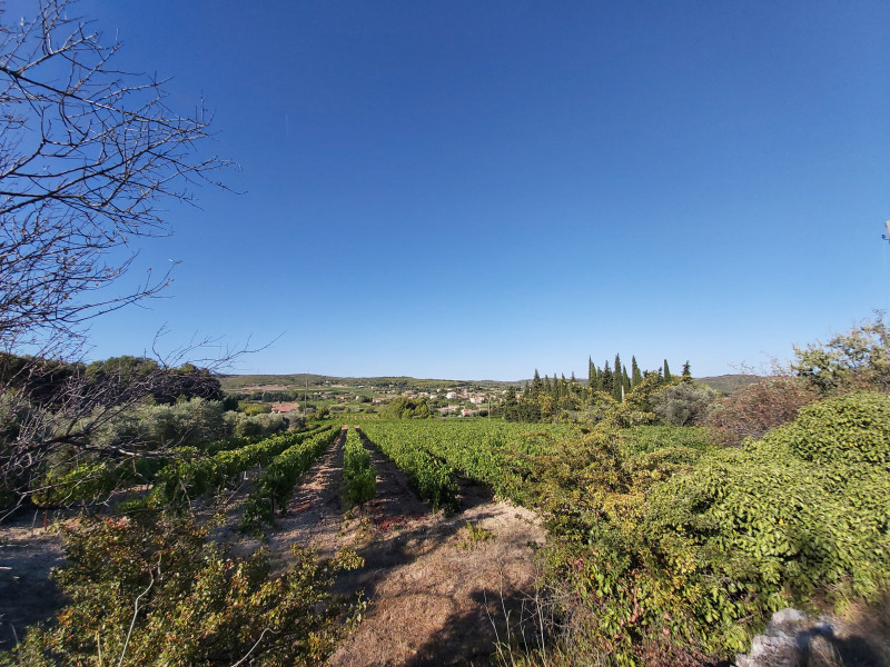Rando dans les sentiers vignerons de Martigues