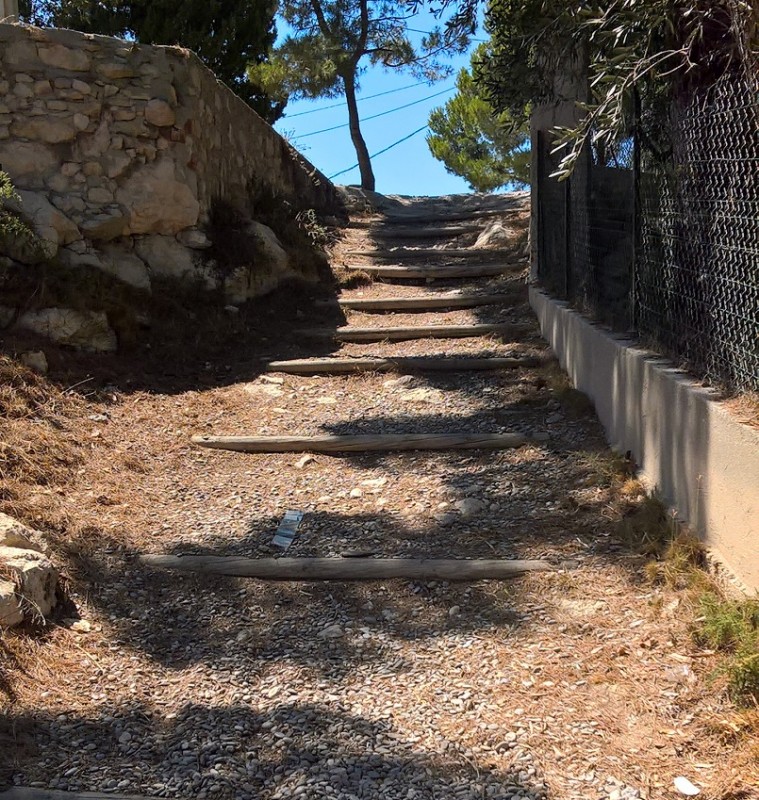 Path