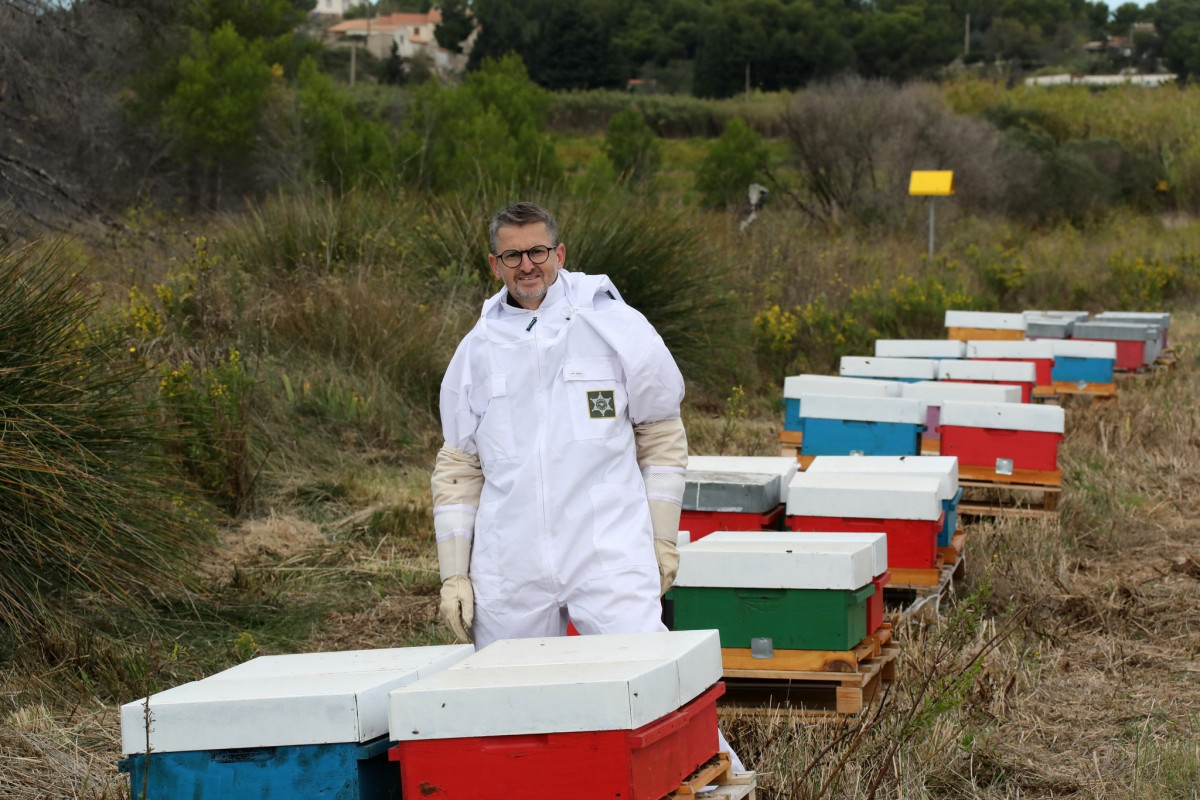 Les ruchers de Georges - Les ruches à Saint-Pierre-Les Martigues