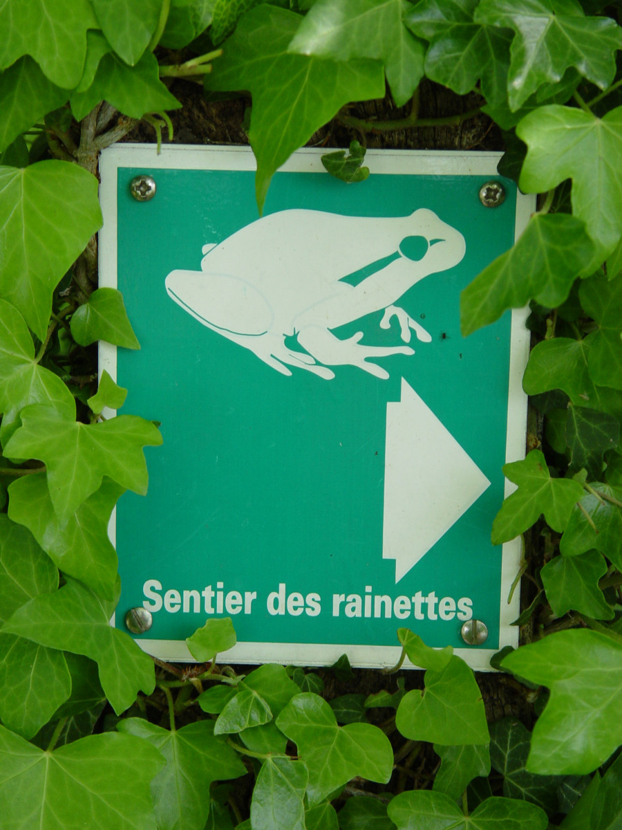 Panneau sentier des rainettes Panneau sentier des rainettes