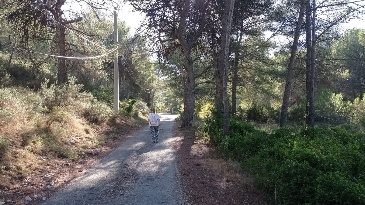 Sentier des vignerons - Boucle panoramique_Martigues