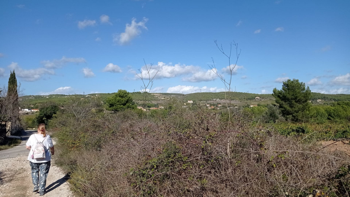 Ruta de los viticultores - Bucle panorámico_Martigues