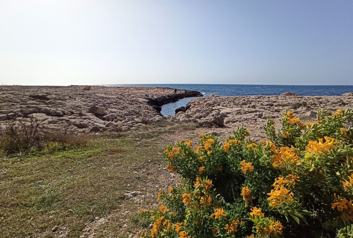 Boucle botanique de la plaine de Carro_Martigues