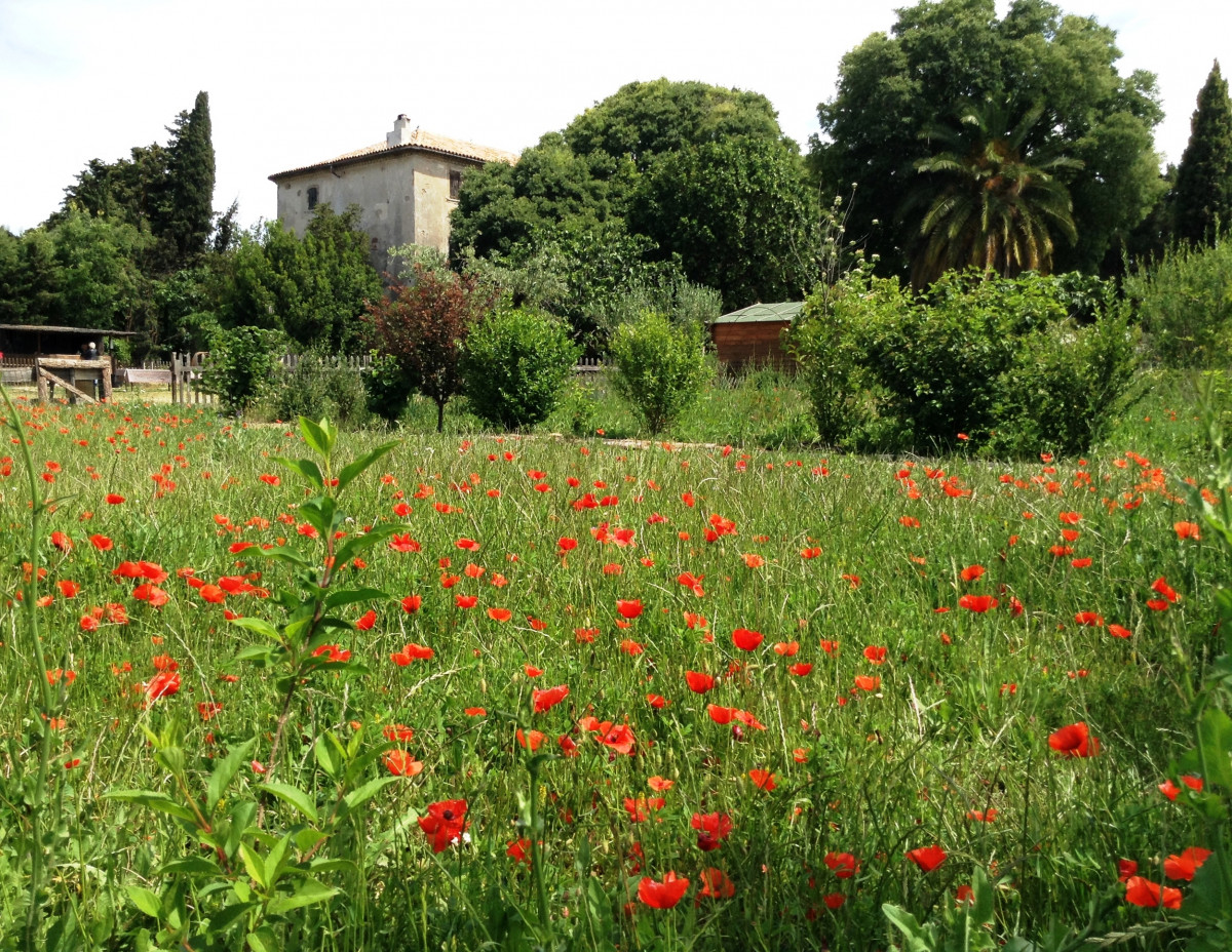 Bastide Marin - © lesamisdelabastidemarin Bastide Marin
