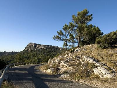 13VIS000914_1_WEB.jpg