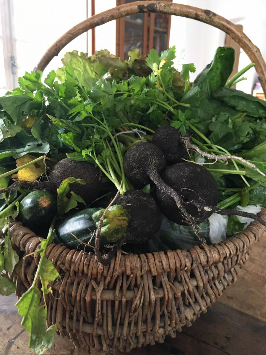 AMAP - A Tout Bio_Martigues