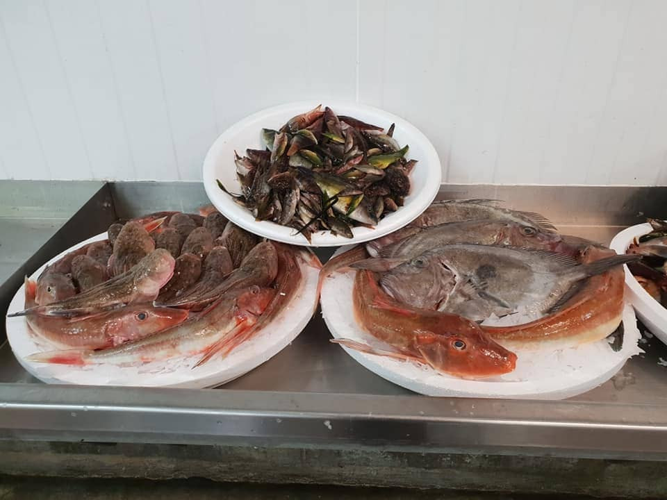 La criée de Martigues_Martigues - © MorenoA, La criée de Martigues La criée de Martigues_Martigues