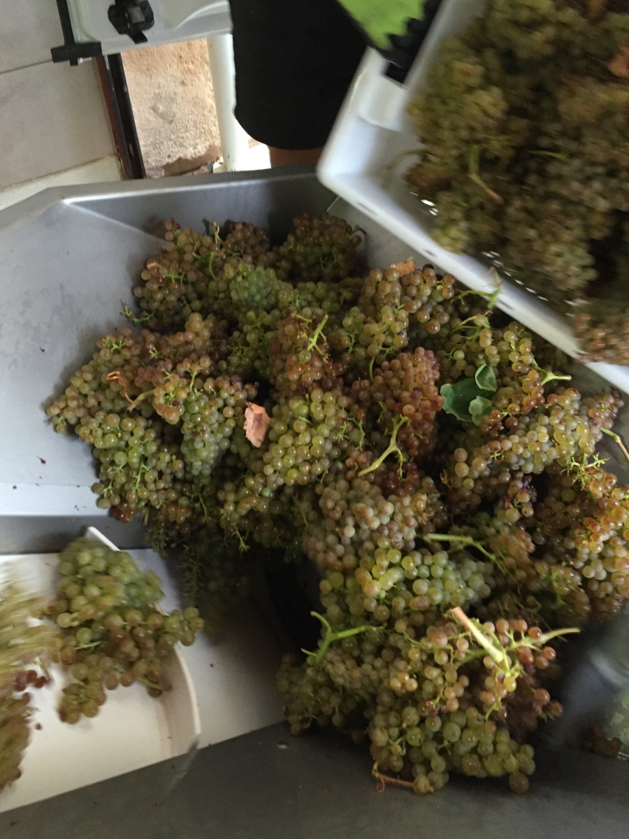 13T4002000_3_HD.jpg 13T4002000_3_HD.jpg