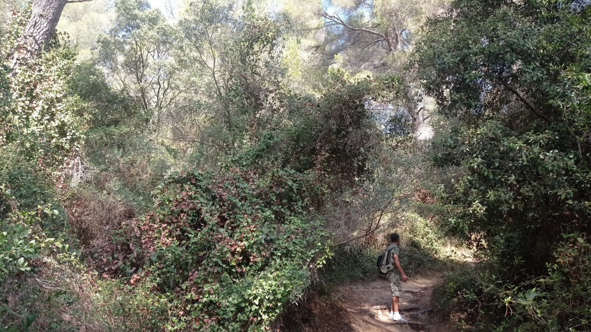 Les parcours du Grand Parc de Figuerolles_Martigues