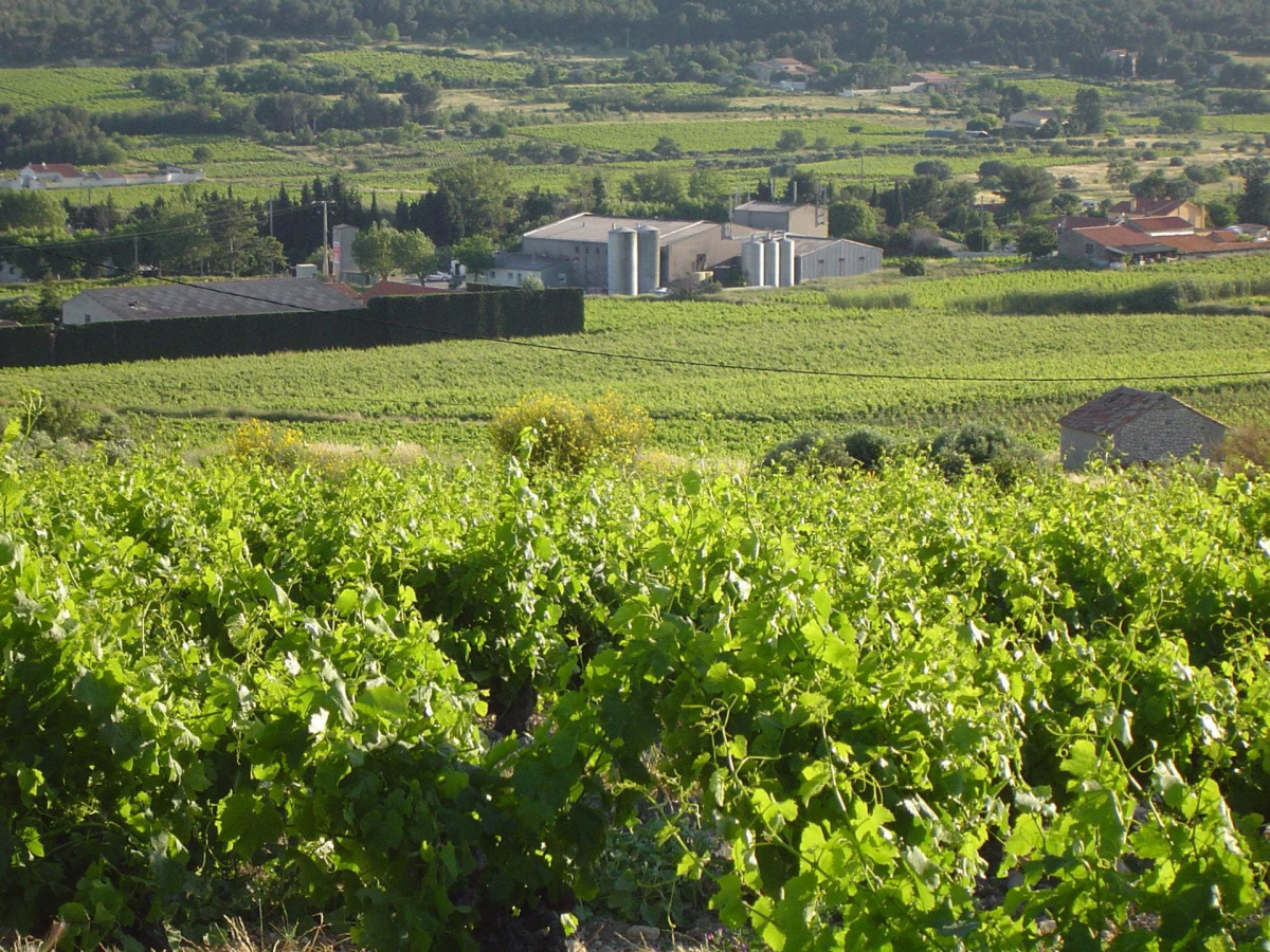 La Venise Provençale, Weinkeller_Martigues