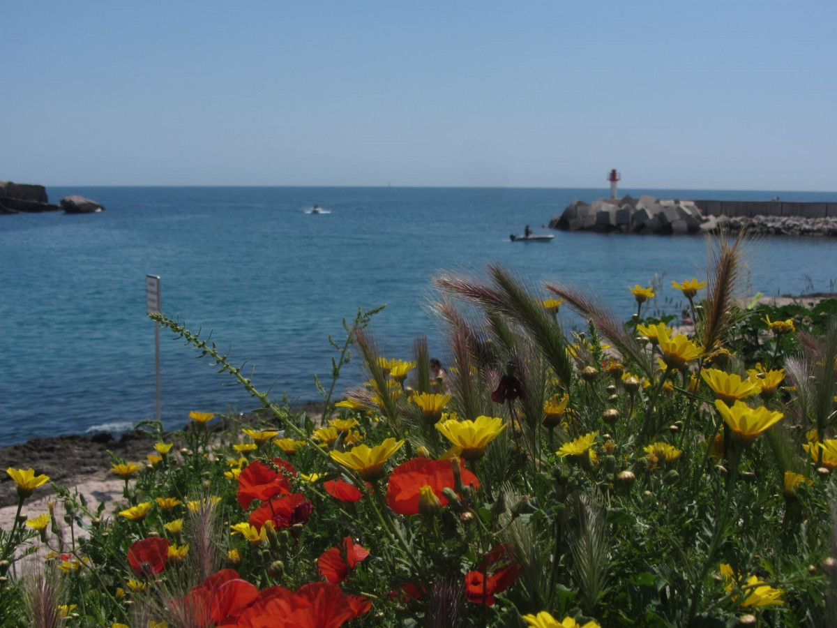 Le Marin Surf Shop_Martigues - © Otmartigues / KarimK Le Marin Surf Shop_Martigues