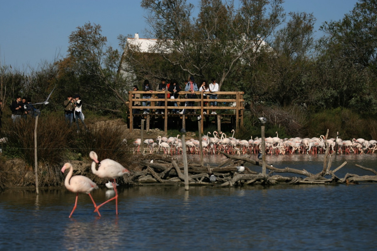 Pont de Gau