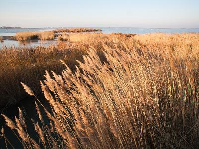 13VIS000223_1_WEB.jpg 13VIS000223_1_WEB.jpg