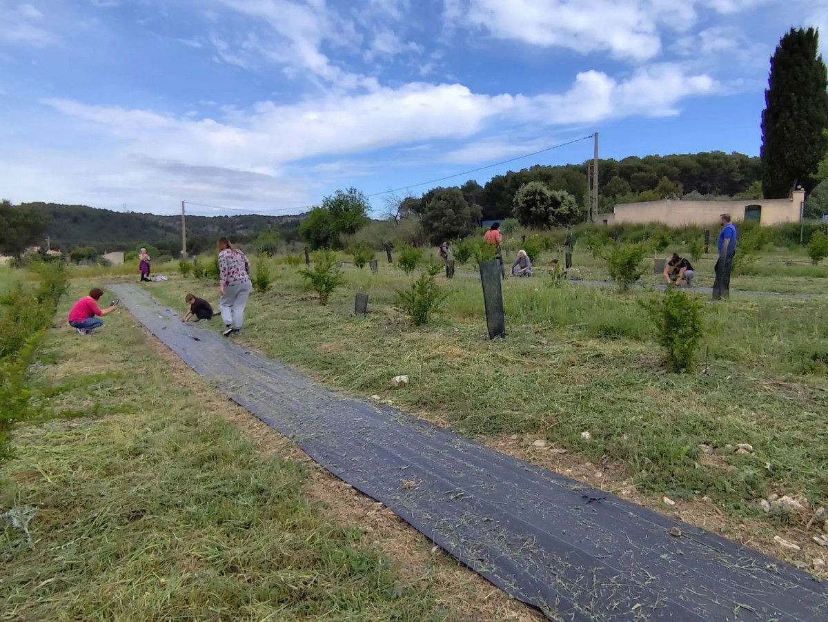 Côté grenades_Martigues