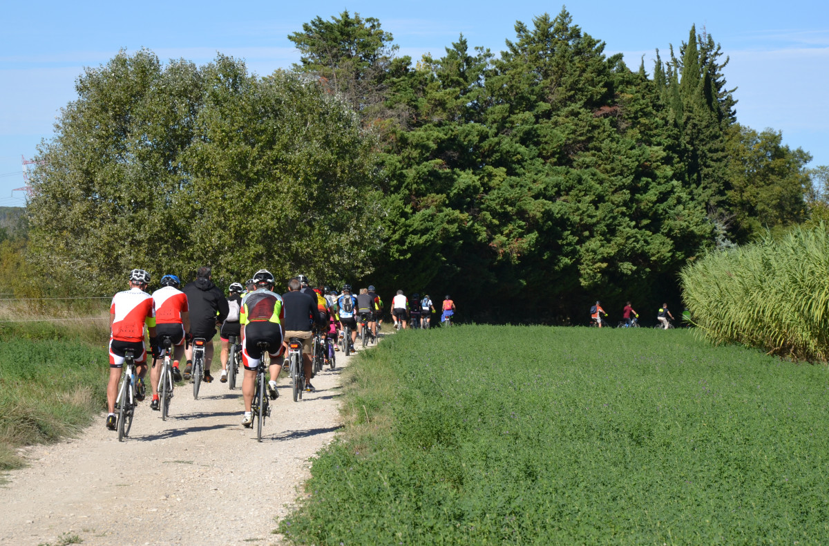 Boucle cyclo : Au coeur de la Montagnette Boucle cyclo : Au coeur de la Montagnette